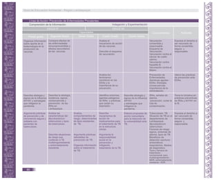 Línea de Acción: Prevención de Enfermedades Prevalentes.
Comprensión de la Información
Conocimientos Actitudes
Primer grado Segundo Grado Tercer Grado Cuarto Grado Quinto Grado
CICLO VI CICLO VII
Indagación y Experimentación
Capacidades
Organiza información
sobre aporte de la
biotecnología en la
producción de
vacunas.
Compara efectos de
las enfermedades
inmunoprevenibles y
efectos secundarios
de las vacunas.
Analiza el
mecanismo de acción
de las vacunas.
Describe el esquema
de vacunación.
Vacunación
consentida y
responsable.
Esquema de
Vacunación.
Vacunación contra el
cáncer de cuello
uterino.
Vacunación contra
hepatitis B.
Vacunación contra el
tétano.
Expresa el derecho a
ser vacunado de
forma consentida,
segura y
responsable.
Analiza los
fenómenos
osmóticos en las
EDAs y la
importancia de su
prevención.
Prevención de
Enfermedades
diarreicas agudas -
EDAs. Etiología,
consecuencias.
Importancia de la
rehidratación.
Valora las prácticas
de prevención ante
EDAs.
Describe etiología y
signos de la influenza
AH1N1 y estrategias
que mitigaron la
pandemia.
Describe la etiología,
incidencia, signos,
consecuencias y
prevención de las
IRAs en
Lambayeque.
Identifica síntomas,
agentes patógenos
de IRAs y prácticas
que cortan su
trasmisión.
IRAs, señales de
alarma.
prevención, cortar la
ruta de
contaminación.
Toma la iniciativa en
prácticas preventivas
de IRAs y AH1N1 en
la IE.
Describe etiología y
signos de la influenza
AH1N1
y estrategias que
mitigaron la
pandemia.
Argumenta prácticas
de prevención y de
convivencia segura y
solidaria con
pacientes de
tuberculosis.
Analiza las
características del
Mycobacterium
tuberculosis y tipos
de tuberculosis.
Describe situaciones
de riesgo que
conllevan a TB
multidrogoresistente
y extremadamente
resistente.
Describe
mecanismos de
acción de
medicamentos para
el tratamiento de TB
en la estructura
celular.
Argumenta la
responsabilidad
social en la
prevención y
mitigación,
tratamiento de la TB.
Tuberculosis- TB.
Situación de TB en el
departamento de
Lambayeque.
Mycobacterium
tuberculosis.
Factores de riesgo,
signos, síntomas de
alarma, tipos de TB.
Beneficios de
detección oportuna –
sintomáticos
respiratorios. Medios
de diagnóstico.
Tipos y tiempos de
tratamiento:
convencional, para
multidrogoresistente -
MDR, extremadamente
resistente –XDR.
Expresa el derecho a
ser vacunado de
forma consentida,
segura y
responsable.
Analiza,
comportamientos de
riesgo, determinantes
de tipos resistentes
de TB.
Argumenta prácticas
saludables de
prevención de TB.
Organiza información
sobre el tratamiento
de TB.
Elabora propuesta de
acción comunitaria
para la reducción de
la vulnerabilidad ante
TB.
Guía de Educación Ambiental - Región Lambayeque
80
 