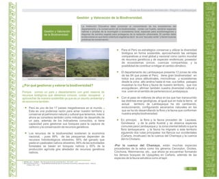 La Institución Educativa debe promover el conocimiento de los ecosistemas del
departamento y la conservación de la biodiversidad, contar con huerto, sembrar especies
nativas o propias de la ecorregión o ecosistema local, especies para eco/bionegocios y
disponer de sombra vegetal para protegerse de la radiación ultravioleta. El cambio debe
evidenciarse en que tiene cobertura vegetal es decir es una “escuela verde” y tienen buenas
prácticas de conservación.
Gestión y Valoración
de la Biodiversidad.
http://elcomercio.pe/(Foto:DantePiaggio/Archivo) www.generaccion.com(foto:perú.gob.pe)
¿Por qué gestionar y valorar la biodiversidad?
Porque somos un país y departamento con gran reserva de
recursos biológicos que debemos conocer, cuidar, recuperar y
aprovechar de manera sostenible ya que es un asunto ambiental y
de economía también.
Perú es uno de los 17 países megadiversos en el mundo. 6
Esta es una poderosa razón para amar nuestro territorio y
conservar el patrimonio natural y cultural que tenemos, más si
ahora se considera también como indicador de desarrollo de
un país, además de los indicadores conocidos, si tiene
capacidad para gestionar sus bosques para la captura de
carbono y la conservación de recursos genéticos.
Los recursos de la biodiversidad sostienen la economía
nacional, pues 99% de las pesquerías dependen de7
recursos hidrobiológicos silvestres, 95% del ganado que
pasta en pastizales nativos silvestres, 99% de las actividades
forestales se basan en bosques nativos y 65% de la
producción agrícola gira alrededor de recursos genéticos
nativos.
Para el Perú es estratégico conservar y utilizar la diversidad
biológica en forma sostenible, aprovechando las ventajas
comparativas a nivel global y nacional como centro mundial
de recursos genéticos y de especies endémicas; poseedor
de ecosistemas únicos; cuencas compartidas; y la
posibilidad de contribuir a mitigar el cambio climático.
El departamento de Lambayeque presenta 13 zonas de vida
de las 84 que posee el Perú; tiene gran biodiversidad en
todos sus pisos altitudinales, microclimas y ecosistemas
desde la zona alto andina hasta el mar, sus bellos paisajes
muestran la rica flora y fauna de nuestro territorio, que nos
enorgullecen, afirman también nuestra diversidad cultural y
nos unen en el sentido de pertenencia a Lambayeque.
Con el paso de millones de años en los que han transcurrido
las distintas eras geológicas, al igual que en toda la tierra, el
actual territorio de Lambayeque ha ido cambiando,
evolucionando, configurando escenarios naturales en las
que se ha ido desarrollando la flora y la fauna que conforman
nuestra amplia biodiversidad.
En principio, la flora y la fauna proceden de Laurasia,
Gondwana y de la parte Austral y se observa especies
comunes para Lambayeque y la zona oriental debido a que la
flora lambayecana y la fauna ha migrado a este territorio
siguiendo dos rutas principales: los flancos sur occidentales
(Cañaris, Incahuasi) de la cuenca del Chamaya y la cuenca
del río Chotano.
-Por la cuenca del Chamaya, están muchas especies
procedentes de la selva como los géneros Ceroxylon, Ocotea,
Cinchona, Weinmannia, etc., que ahora se encuentran formando
los densos bosques de Upaypiteq en Cañaris, además de las
especies de la fauna selvática como el tapir.
6. MINAM. 2011. PLANAA: Plan Nacional de Acción Ambiental Perú: 2011-2021. p 47.
BELAUSTEGUICOITIA, J. “Sostenibilidad Ambiental para el Crecimiento Económico y Bienestar Social” Nota de7.
Política. 2011. p 20.
Guía de Educación Ambiental - Región Lambayeque
93
Gestión y Valoración de la Biodiversidad.
 