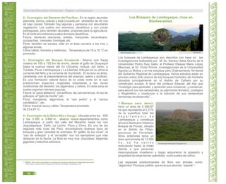 2.- Ecorregión del Desierto del Pacífico.- En la región abundan
planicies, cerros, colinas y está cruzada por alrededor de 40 ríos
de bajo caudal. También hay lagunas y pantanos con abundante
vegetación. Los suelos son arenosos, desérticos y con zonas
pedregosas, pero también aluviales, propicias para la agricultura.
En el norte encontramos suelos dunosos desérticos.
Fauna: destacan alacranes, arañas, mariposas, escarabajos,
cucarachas, ciempiés, hormigas, etc.
Flora: también es escasa, sólo en el área cercana a los ríos y
algunas lomas.
Clima cálido, húmedo y neblinoso. Temperatura de 18 a 19 °C en
promedio.
3.- Ecorregión del Bosque Ecuatorial.- Abarca una franja
costera de 100 a 150 km de ancho, desde el golfo de Guayaquil
hasta la cuenca media del río Chicama; incluye, por tanto, a
Tumbes, Piura, Lambayeque y La Libertad. Influyen en su clima la
corriente del Niño y la corriente de Humboldt. El terreno es árido,
cambiante, con la preponderancia del arenoso, salino y arcilloso.
Es una formación natural típica de la costa norte en la que
predominan especies vegetales adaptadas a las duras
condiciones del desierto: los algarrobos y ceibos. En esta zona se
suelen soportar intensas sequías.
Fauna: la “pava aliblanca”, los anfibios, las zancarrancas, el oso de
anteojos, el “gato de monte”; etc.
Flora: manglares, algarrobos, el “san pedro” y el “cactus
candelabro”; etc.
Clima: tropical, seco y cálido.Temperatura promedio
de 23 a 24 °C.
4.- Ecorregión de la Selva Alta o Yunga.- Ubicada entre los 600
y los 3 500 a 3 800 m, abarca nueve departamentos, como
Lambayeque; a partir del valle del Marañón hasta los ríos
Jequetepeque, Zaña, La Leche, Piura y Chira. Es una de las
regiones más ricas del Perú, encontramos diversos tipos de
bosques y gran variedad de animales. El “gallito de las rocas”, el
“oso de anteojos” y el “armadillo” son los ejemplares que más
destacan en la fauna. La flora es muy rica: orquídeas, begonias
gigantes y helechos arbóreos.
wiki.sumaqperu.com
Los Bosques de Lambayeque, ricos en
Biodiversidad.
rpp.com.pe
Los bosques de Lambayeque son descritos con base en las
investigaciones realizadas por M. Sc. Santos Llatas Quiróz de la
Universidad Pedro Ruiz Gallo, el Profesor Eleazar Mario López
Mesones; el Dr. Víctor Ponce, investigaciones de la Universidad
Agraria La Molina y en los estudios para Ordenamiento Territorial
del Gobierno Regional de Lambayeque. Varios estudios están en
proceso sobre todo acerca de los bosques húmedos de montaña
ubicados principalmente en el distrito de Cañaris por su
complicado acceso. A decir del profesor Eleazar, allí hay que
“investigar para aprender, y aprender para conservar; y conservar,
para asumir con los cañarenses, su patrimonio florístico, zoológico
y fitogenético y coadyuvar a la solución de sus centenarias
demandas de desarrollo”…
1.-Bosque seco denso,
tiene un área de 5 685,67
ha que representa el 0,37%
de la superficie total del
d e p a r t a m e n t o d e
Lambayeque y constituye
ahora el Santuario Histórico
Bosque de Pomac, situado
en el distrito de Pítipo,
provincia de Ferreñafe.
Años anteriores tenía un
área aproximada de 12 000
h a , s e h a v e n i d o
reduciendo hasta la mitad
debido a que personas
inescrupulosas invadieron y luego adquirieron la posesión y
propiedad de estas tierras usándolas como suelos de cultivo.
Las especies predominantes de flora son árboles como:
“algarrobo” Prosopis pallida, que es la que abunda, “sapote” -
nkanaturatravelenespanol.blogspot.com
11. IMARPE. 2009. Informe Delimitación y Caracterización de Bancos Naturales de Invertebrados Bentónicos
Comerciales y Zonas de Pesca Artesanal en el litoral de la Región Lambayeque. p 86.
Guía de Educación Ambiental - Región Lambayeque
96
 