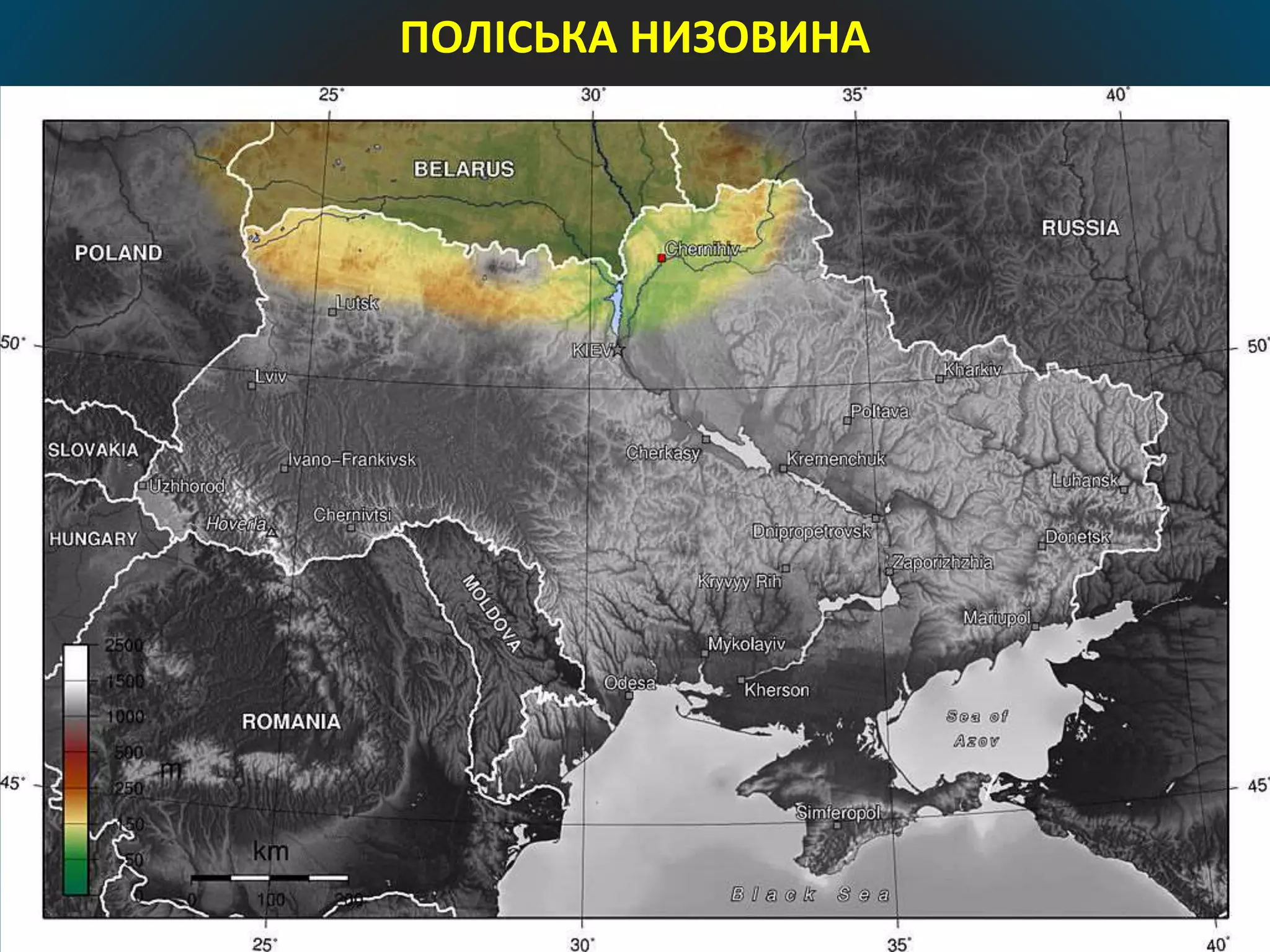 ПОЛІСЬКА НИЗОВИНА
 