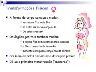 Transformações Físicas
 A forma do corpo começa a mudar:
 a cintura fica mais fina
 os ossos da bacia alargam-se
 Os seios crescem
 Os órgãos genitais também mudam:
 a vagina fica com a parede mais espessa
 o útero aumenta de tamanho
 aumenta a irrigação sanguínea do clitóris
 Crescem os pêlos das axilas e da região púbica
 Dá-se a primeira menstruação ("menarca")
 