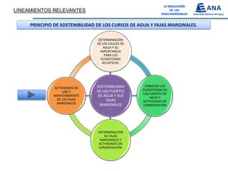 Fajas Marginales 227220038 exposicion-fajas-marginales-final | PDF