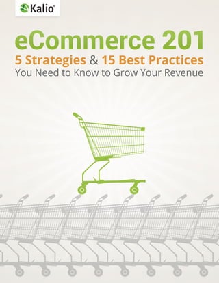 eCommerce 201: 5 Strategies & 15 Best Practices You Need to Know to Grow Your Revenue
 