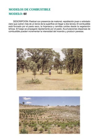 MODELOS DE COMBUSTIBLE
MODELO: 02

     DESCRIPCION: Pastizal con presencia de matorral, repoblación joven o arbolado
claro que cubren más de un tercio de la superficie sin llegar a dos tercios. El combustible
está formado por el pasto seco, la hojarasca y ramillas caídas desde la vegetación
leñosa. El fuego se propagará rápidamente por el pasto. Acumulaciones dispersas de
combustible pueden incrementar la intensidad del incendio y producir pavesas.
 