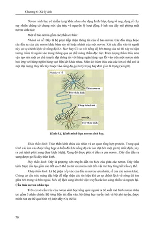 Chương 6: Xử lý ảnh
70
Nơron sinh học có nhiều dạng khác nhau như dạng hình tháp, dạng tổ ong, dạng rễ cây
tuy nhiên chúng có chung một cấu trúc và nguyên lý hoạt động. Hình sau đây mô phỏng một
nơron sinh học:
Một tế bào nơron gồm các phần cơ bản:
Nhánh và rễ: Đây là bộ phận tiếp nhận thông tin của tế bào nơron. Các đầu nhạy hoặc
các đầu ra của các nơron khác bám vào rễ hoặc nhánh của một nơron. Khi các đầu vào từ ngoài
này có sự chênh lệch về nồng độ K+, Na+ hay Cl- so với nồng độ bên trong của nó thì xảy ra hiện
tưởng thấm từ ngoài vào trong thông qua cơ chế màng thấm đặc biệt. Hiện tượng thẩm thấu như
vậy tạo nên một cơ chế truyền đạt thông tin với hàng ngàn hàng vạn lối vào trên một nơron sinh
học ứng với hàng nghìn hàng vạn liên kết khác nhau. Mức độ thẩm thấu của các ion có thể coi là
một đại lượng thay đổi tùy thuộc vào nồng độ gọi là tỷ trọng hay đơn giản là trọng (weight).
Hình 6.1. Hình minh họa nơron sinh học.
Thân thần kinh: Thân thần kinh chứa các nhân và cơ quan tổng hợp protein. Trong quá
trình các ion vào được tổng hợp và biến đổi khi nồng độ các ion đạt đến một giá trị nhất định, xảy
ra quá trình phát xung (hay kích thích). Xung đó được phát ở đầu ra của nơron . Dây dẫn đầu ra
xung được gọi là dây thần kinh.
Dây thần kinh: Đây là phương tiện truyền dẫn tín hiệu của giữa các nơron. Dây thần
kinh được cấu tạo gồm các đốt và có thể dài từ vài micro mét đến vài mét tùy từng kết cấu cụ thể.
Khớp thần kinh: Là bộ phận tiếp xúc của đầu ra nơron với nhánh, rễ của các nơron khác.
Chúng có cấu trúc màng đặc biệt để tiếp nhận các tín hiệu khi có sự chênh lệch về nồng độ ion
giữa bên trong và bên ngoài. Nếu độ lệch càng lớn thì việc truyền các ion càng nhiều và ngược lại.
Cấu trúc nơron nhân tạo
Trên cơ sở cấu trúc của nơron sinh học tổng quát người ta đề xuất mô hình nơron nhân
tạo gồm 3 phần chính: Bộ tổng liên kết đầu vào, bộ động học tuyến tính và bộ phi tuyến, được
minh họa cụ thể qua hình vẽ dưới đây: Cụ thể là:
 