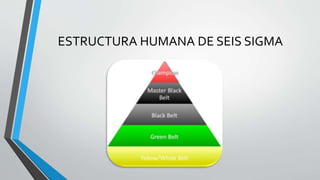 ESTRUCTURA HUMANA DE SEIS SIGMA
 