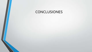 CONCLUSIONES
 
