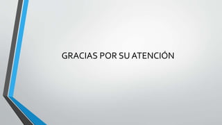 GRACIAS POR SU ATENCIÓN
 