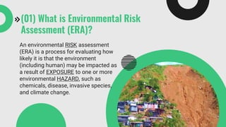 ENVIRONMENTAL RISK ASSESSMENT AND MANAGEMENT | PDF