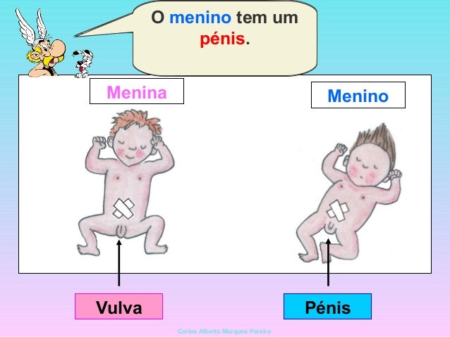 Aumentar um pênis sem operações