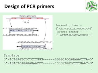 1
Design of PCR primers
Template
3’-TCTGAGTCTCTCTTGGG------GGGGCACCAGAAACTTA-5’
5’-AGACTCAGAGAGAACCC------CCCCGTGGTCTTTGAAT-3’
Forward primer –
5’-AGACTCAGAGAGAACCC-3’
Reverse primer –
5’-ATTCAAAGACCACGGGG-3’
 