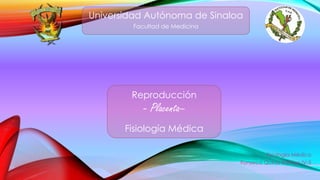 Fisiología Médica
Fonseca Quiroz Kathya IV-5
Universidad Autónoma de Sinaloa
Facultad de Medicina
Reproducción
- Placenta–
Fisiología Médica
 