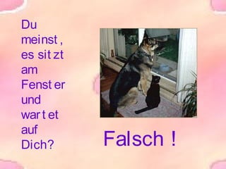 Du
meinst ,
es sit zt
am
Fenst er
und
war t et
auf
Dich?
Falsch !