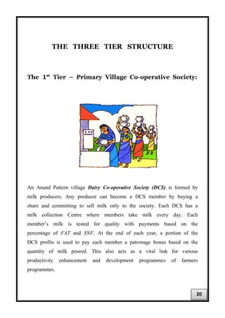 THE THREE TIER STRUCTURE
The 1st
Tier – Primary Village Co-operative Society:
An Anand Pattern village Dairy Co-operative Society (DCS) is formed by
milk producers. Any producer can become a DCS member by buying a
share and committing to sell milk only to the society. Each DCS has a
milk collection Centre where members take milk every day. Each
member’s milk is tested for quality with payments based on the
percentage of FAT and SNF. At the end of each year, a portion of the
DCS profits is used to pay each member a patronage bonus based on the
quantity of milk poured. This also acts as a vital link for various
productivity enhancement and development programmes of farmers
programmes.
20
 
