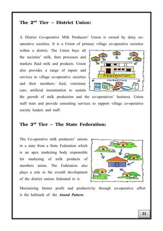 The 2nd
Tier – District Union:
A District Co-operative Milk Producers’ Union is owned by dairy co-
operative societies. It is a Union of primary village co-operative societies
within a district. The Union buys all
the societies’ milk, then processes and
markets fluid milk and products. Union
also provides a range of inputs and
services to village co-operative societies
and their members: feed, veterinary
care, artificial insemination to sustain
the growth of milk production and the co-operatives’ business. Union
staff train and provide consulting services to support village co-operative
society leaders and staff.
The 3rd
Tier – The State Federation:
The Co-operative milk producers’ unions
in a state from a State Federation which
is an apex marketing body responsible
for marketing of milk products of
members union. The Federation also
plays a role in the overall development
of the district unions federated to it.
Maximizing farmer profit and productivity through co-operative effort
is the hallmark of the Anand Pattern.
21
 