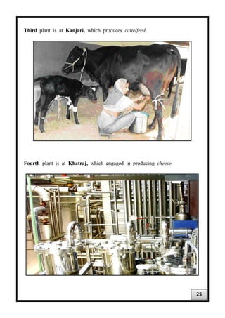 Third plant is at Kanjari, which produces cattelfeed.
Fourth plant is at Khatraj, which engaged in producing cheese.
25
 