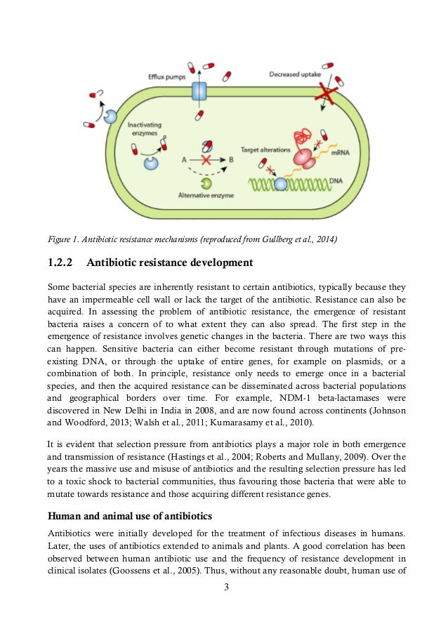 Phd thesis in sweden