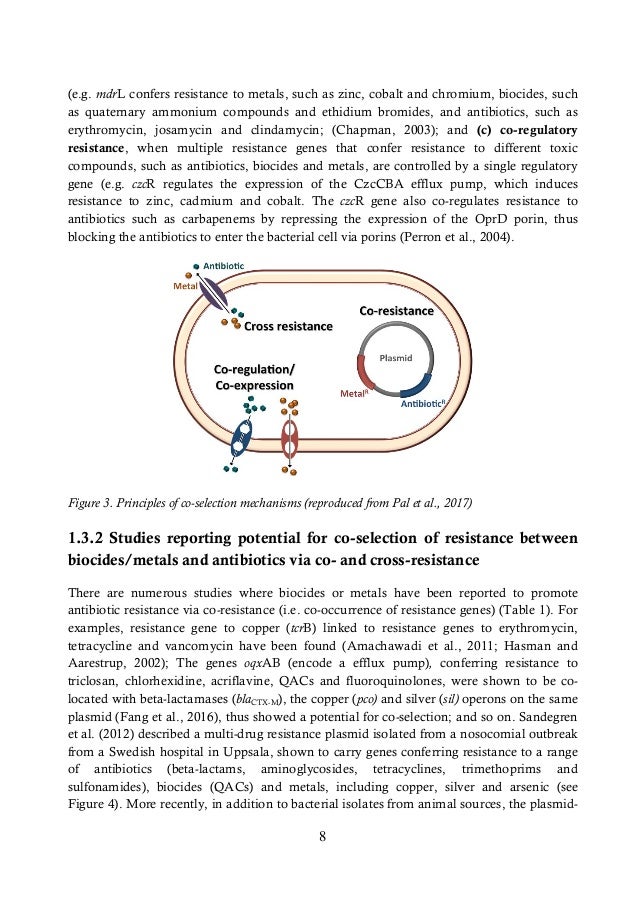 Phd thesis in sweden