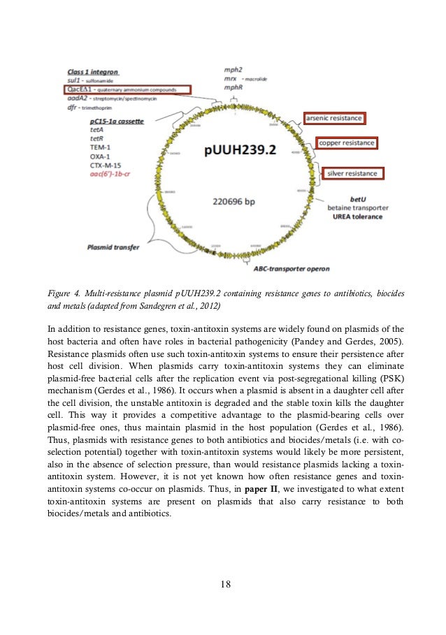 Phd thesis sweden