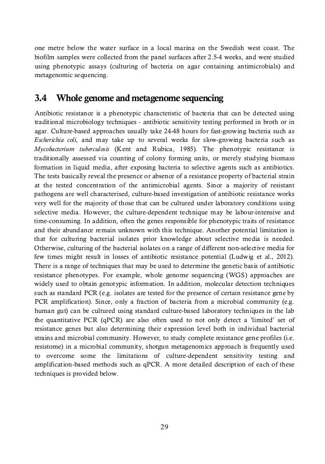 Daniel snaith phd thesis