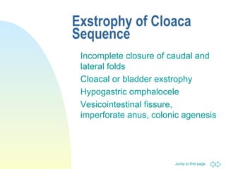 Jump to first page
Exstrophy of Cloaca
Sequence
Incomplete closure of caudal and
lateral folds
Cloacal or bladder exstrophy
Hypogastric omphalocele
Vesicointestinal fissure,
imperforate anus, colonic agenesis
 