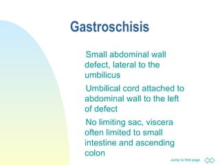 Jump to first page
Gastroschisis
Small abdominal wall
defect, lateral to the
umbilicus
Umbilical cord attached to
abdominal wall to the left
of defect
No limiting sac, viscera
often limited to small
intestine and ascending
colon
 