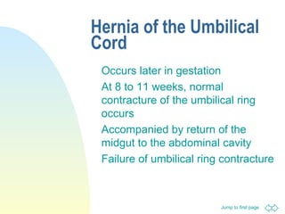 Jump to first page
Hernia of the Umbilical
Cord
Occurs later in gestation
At 8 to 11 weeks, normal
contracture of the umbilical ring
occurs
Accompanied by return of the
midgut to the abdominal cavity
Failure of umbilical ring contracture
 