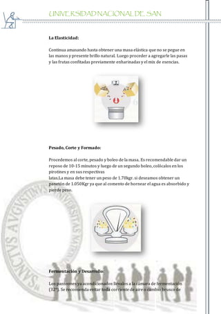 UNIVERSIDAD NACIONAL DE SAN
AGUSTIN
La Elasticidad:
Continua amasando hasta obtener una masa elástica que no se pegue en
las manos y presente brillo natural. Luego proceder a agregarle las pasas
y las frutas confitadas previamente enharinadas y el mix de esencias.
Pesado, Corte y Formado:
Procedemos al corte, pesado y boleo de la masa. Es recomendable dar un
reposo de 10-15 minutos y luego de un segundo boleo, colócalos en los
pirotines y en sus respectivas
latas.La masa debe tener un peso de 1.70kgr. si deseamos obtener un
panetón de 1.050Kgr ya que al comento de hornear el agua es absorbido y
pierde peso.
Fermentación y Desarrollo:
Los panteones ya acondicionados llévalos a la cámara de fermentación
(32°). Se recomienda evitar toda corriente de aire o cambio brusco de
 