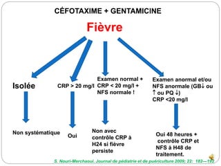 Fièvre
Isolée
Non systématique
CÉFOTAXIME + GENTAMICINE
CRP > 20 mg/l
Oui
Examen normal +
CRP < 20 mg/l +
NFS normale !
No...