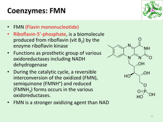 Coenzymes: FMN
• FMN (Flavin mononucleotide)
• Riboflavin-5’-phosphate, is a biomolecule
produced from riboflavin (vit B2) by the
enzyme riboflavin kinase
• Functions as prosthetic group of various
oxidoreductases including NADH
dehydrogenase
• During the catalytic cycle, a reversible
interconversion of the oxidized (FMN),
semiquinone (FMNH•) and reduced
(FMNH2) forms occurs in the various
oxidoreductases.
• FMN is a stronger oxidizing agent than NAD
11
 