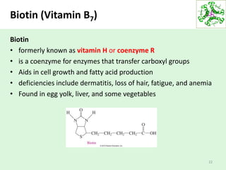 Biotin (Vitamin B7)
22
Biotin
• formerly known as vitamin H or coenzyme R
• is a coenzyme for enzymes that transfer carboxyl groups
• Aids in cell growth and fatty acid production
• deficiencies include dermatitis, loss of hair, fatigue, and anemia
• Found in egg yolk, liver, and some vegetables
 