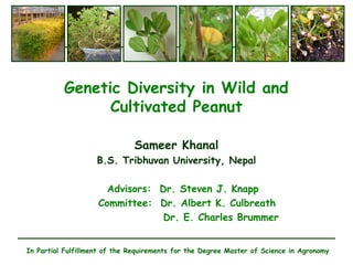 Genetic Diversity in Wild and
Cultivated Peanut
Sameer Khanal
B.S. Tribhuvan University, Nepal
Advisors: Dr. Steven J. Knapp
Committee: Dr. Albert K. Culbreath
Dr. E. Charles Brummer
In Partial Fulfillment of the Requirements for the Degree Master of Science in Agronomy
 