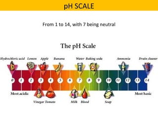 From 1 to 14, with 7 being neutral
pH SCALE
 