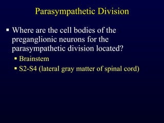 Parasympathetic Division Where are the cell bodies of the preganglionic neurons for the parasympathetic division located? Brainstem S2-S4 (lateral gray matter of spinal cord) 
