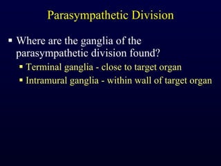 Parasympathetic Division Where are the ganglia of the parasympathetic division found? Terminal ganglia - close to target organ Intramural ganglia - within wall of target organ 