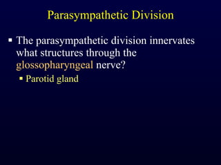 Parasympathetic Division The parasympathetic division innervates what structures through the  glossopharyngeal  nerve? Parotid gland 