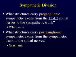 Sympathetic Division What structures carry  preganglionic  sympathetic axons from the  T1-L2  spinal nerves to the sympathetic trunk? White rami What structures carry  postganglionic  sympathetic axons from the sympathetic trunk to the spinal nerves? Gray rami 