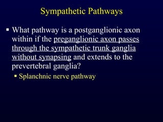 Sympathetic Pathways What pathway is a postganglionic axon within if the  preganglionic axon passes through the sympathetic trunk ganglia without synapsing  and extends to the prevertebral ganglia? Splanchnic nerve pathway 
