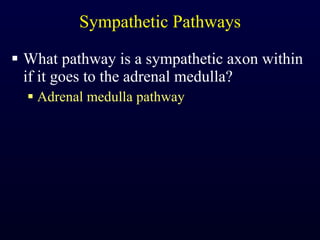 Sympathetic Pathways What pathway is a sympathetic axon within if it goes to the adrenal medulla? Adrenal medulla pathway 