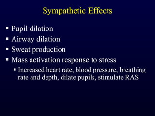 Sympathetic Effects Pupil dilation Airway dilation Sweat production Mass activation response to stress Increased heart rate, blood pressure, breathing rate and depth, dilate pupils, stimulate RAS 