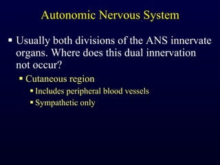 Autonomic Nervous System Usually both divisions of the ANS innervate organs. Where does this dual innervation not occur? Cutaneous region Includes peripheral blood vessels Sympathetic only 