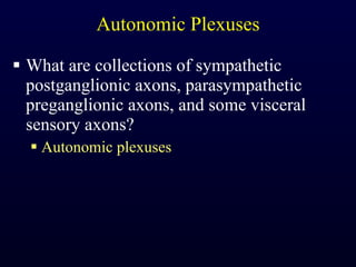 Autonomic Plexuses What are collections of sympathetic postganglionic axons, parasympathetic preganglionic axons, and some visceral sensory axons? Autonomic plexuses 