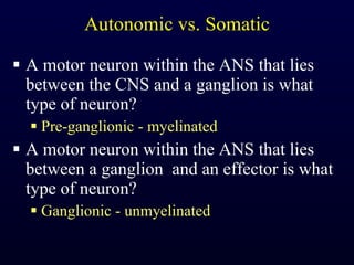 Autonomic vs. Somatic A motor neuron within the ANS that lies between the CNS and a ganglion is what type of neuron? Pre-ganglionic - myelinated A motor neuron within the ANS that lies between a ganglion  and an effector is what type of neuron? Ganglionic - unmyelinated 