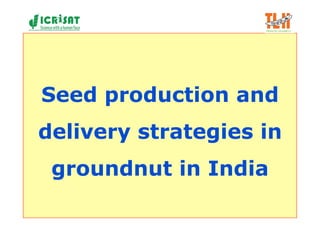 Seed production and
delivery strategies in
 groundnut in India
 