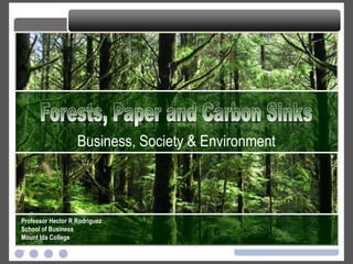 Forests, Paper and Carbon Sinks Business, Society & Environment Professor Hector R Rodriguez School of Business Mount Ida College Forests, Paper and Carbon Sinks 