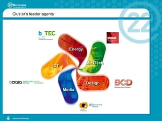 Cluster’s leader agents 