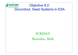 Objective 8.2:
Groundnut, Seed Systems in ESA




            ICRISAT
          Bamako, Mali
 