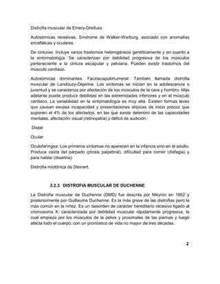 Distrofia muscular de Emery-Dreifuss
Autosómicas recesivas. Síndrome de Walker-Warburg, asociado con anomalías
encefálicas y oculares.
De cinturas: Incluye varios trastornos heterogéneos genéticamente y en cuanto a
la sintomatología. Se caracterizan por debilidad progresiva de los músculos
perteneciente a la cintura escapular y pelviana. Pueden existir trastornos del
músculo cardiaco.
Autosómicas dominantes. Facioscapulohumeral: También llamada distrofia
muscular de Landouzy-Dejerine. Los síntomas se inician en la adolescencia o
juventud y se caracteriza por afectación de los músculos de la cara y hombro. Más
adelante puede producir debilidad en las extremidades inferiores y en el músculo
cardiaco. La variabilidad en la sintomatología es muy alta. Existen formas leves
que causan escasa incapacidad y presentaciones atípicas de inicio precoz que
suponen el 4% de los afectados, en las que existe deterioro de las capacidades
mentales, afectación visual (retinopatía) y déficit de audición.
Distal
Ocular
Oculofaríngea: Los primeros síntomas no aparecen en la infancia sino en el adulto.
Produce caída del párpado (ptosis palpebral), dificultad para comer (disfagia) y
para hablar (disartria).
Distrofia miotónica de Steinert.
2.2.3 DISTROFIA MUSCULAR DE DUCHENNE
La Distrofia muscular de Duchenne (DMD) fue descrita por Meyron en 1852 y
posteriormente por Guillaume Duchenne. Es la más grave de las distrofias pero la
más común en la niñez. Es un desorden de carácter hereditario recesivo ligado al
cromosoma X, caracterizada por debilidad muscular rápidamente progresiva, la
cual empieza por los músculos de la pelvis y proximales de las piernas y luego
afecta todo el cuerpo, con un pronóstico de vida no mayor de tres décadas.
2
 