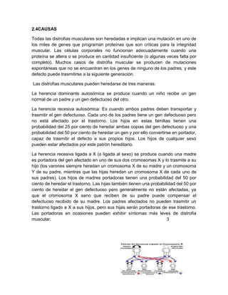 2.4CAUSAS
Todas las distrofias musculares son heredadas e implican una mutación en uno de
los miles de genes que programan proteínas que son críticas para la integridad
muscular. Las células corporales no funcionan adecuadamente cuando una
proteína se altera o se produce en cantidad insuficiente (o algunas veces falta por
completo). Muchos casos de distrofia muscular se producen de mutaciones
espontáneas que no se encuentran en los genes de ninguno de los padres, y este
defecto puede trasmitirse a la siguiente generación.
Las distrofias musculares pueden heredarse de tres maneras:
La herencia dominante autosómica se produce cuando un niño recibe un gen
normal de un padre y un gen defectuoso del otro.
La herencia recesiva autosómica: Es cuando ambos padres deben transportar y
trasmitir el gen defectuoso. Cada uno de los padres tiene un gen defectuoso pero
no está afectado por el trastorno. Los hijos en estas familias tienen una
probabilidad del 25 por ciento de heredar ambas copias del gen defectuoso y una
probabilidad del 50 por ciento de heredar un gen y por ello convertirse en portador,
capaz de trasmitir el defecto a sus propios hijos. Los hijos de cualquier sexo
pueden estar afectados por este patrón hereditario.
La herencia recesiva ligada a X (o ligada al sexo) se produce cuando una madre
es portadora del gen afectado en uno de sus dos cromosomas X y lo trasmite a su
hijo (los varones siempre heredan un cromosoma X de su madre y un cromosoma
Y de su padre, mientras que las hijas heredan un cromosoma X de cada uno de
sus padres). Los hijos de madres portadoras tienen una probabilidad del 50 por
ciento de heredar el trastorno. Las hijas también tienen una probabilidad del 50 por
ciento de heredar el gen defectuoso pero generalmente no están afectadas, ya
que el cromosoma X sano que reciben de su padre puede compensar el
defectuoso recibido de su madre. Los padres afectados no pueden trasmitir un
trastorno ligado a X a sus hijos, pero sus hijas serán portadoras de ese trastorno.
Las portadoras en ocasiones pueden exhibir síntomas más leves de distrofia
muscular. 3
 
