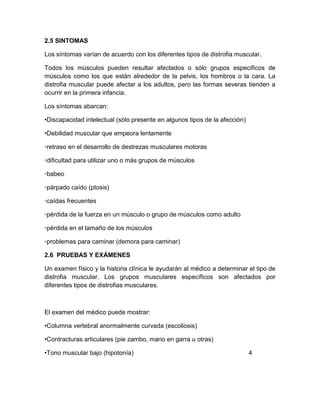 2.5 SINTOMAS
Los síntomas varían de acuerdo con los diferentes tipos de distrofia muscular.
Todos los músculos pueden resultar afectados o sólo grupos específicos de
músculos como los que están alrededor de la pelvis, los hombros o la cara. La
distrofia muscular puede afectar a los adultos, pero las formas severas tienden a
ocurrir en la primera infancia.
Los síntomas abarcan:
•Discapacidad intelectual (sólo presente en algunos tipos de la afección)
•Debilidad muscular que empeora lentamente
◦retraso en el desarrollo de destrezas musculares motoras
◦dificultad para utilizar uno o más grupos de músculos
◦babeo
◦párpado caído (ptosis)
◦caídas frecuentes
◦pérdida de la fuerza en un músculo o grupo de músculos como adulto
◦pérdida en el tamaño de los músculos
◦problemas para caminar (demora para caminar)
2.6 PRUEBAS Y EXÁMENES
Un examen físico y la historia clínica le ayudarán al médico a determinar el tipo de
distrofia muscular. Los grupos musculares específicos son afectados por
diferentes tipos de distrofias musculares.
El examen del médico puede mostrar:
•Columna vertebral anormalmente curvada (escoliosis)
•Contracturas articulares (pie zambo, mano en garra u otras)
•Tono muscular bajo (hipotonía) 4
 